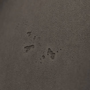IMI concrete decor 226